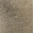 Sarelli Interiors Textiles Desert Terrain Contemporary Earth Impression Style Custom Bespoke Elegant Italian Luxury Premium Handmade & Handtufted Area Rug Carpet, Made of Bamboo Silk & New Zealand Wool Material, With Cotton Backing, 2 Levels High & Low Processing Method, 8-14mm Thickness, Available in Bamboo Silk, Tencel, Viscose, Fine Wool, Flame Retardant & Stain Resistant Optional Finishes