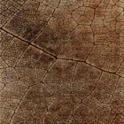 Sarelli Interiors Textiles Desert Terrain Contemporary Earth Impression Style Custom Bespoke Elegant Italian Luxury Premium Handmade & Handtufted Area Rug Carpet, Made of Bamboo Silk & New Zealand Wool Material, With Cotton Backing, 2 Levels High & Low Processing Method, 8-14mm Thickness, Available in Bamboo Silk, Tencel, Viscose, Fine Wool, Flame Retardant & Stain Resistant Optional Finishes