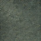 Sarelli Interiors Textiles Desert Terrain Contemporary Earth Impression Style Custom Bespoke Elegant Italian Luxury Premium Handmade & Handtufted Area Rug Carpet, Made of Bamboo Silk & New Zealand Wool Material, With Cotton Backing, 2 Levels High & Low Processing Method, 8-14mm Thickness, Available in Bamboo Silk, Tencel, Viscose, Fine Wool, Flame Retardant & Stain Resistant Optional Finishes