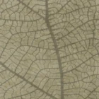 Sarelli Interiors Textiles Leaf Skeleton Contemporary Earth Impression Style Custom Bespoke Elegant Italian Luxury Premium Handmade & Handtufted Area Rug Carpet, Made of Botanical Silk Material, With Cotton Backing, 2 Levels High & Low Processing Method, 8-14mm Thickness, Available in Bamboo Silk, Tencel, Viscose, Fine Wool, Flame Retardant & Stain Resistant Optional Finishes