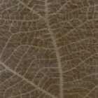 Sarelli Interiors Textiles Leaf Skeleton Contemporary Earth Impression Style Custom Bespoke Elegant Italian Luxury Premium Handmade & Handtufted Area Rug Carpet, Made of Botanical Silk Material, With Cotton Backing, 2 Levels High & Low Processing Method, 8-14mm Thickness, Available in Bamboo Silk, Tencel, Viscose, Fine Wool, Flame Retardant & Stain Resistant Optional Finishes