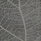 Sarelli Interiors Textiles Leaf Skeleton Contemporary Earth Impression Style Custom Bespoke Elegant Italian Luxury Premium Handmade & Handtufted Area Rug Carpet, Made of Botanical Silk Material, With Cotton Backing, 2 Levels High & Low Processing Method, 8-14mm Thickness, Available in Bamboo Silk, Tencel, Viscose, Fine Wool, Flame Retardant & Stain Resistant Optional Finishes