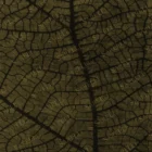 Sarelli Interiors Textiles Leaf Skeleton Contemporary Earth Impression Style Custom Bespoke Elegant Italian Luxury Premium Handmade & Handtufted Area Rug Carpet, Made of Botanical Silk Material, With Cotton Backing, 2 Levels High & Low Processing Method, 8-14mm Thickness, Available in Bamboo Silk, Tencel, Viscose, Fine Wool, Flame Retardant & Stain Resistant Optional Finishes