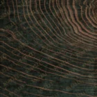 Sarelli Interiors Textiles Curved Horizon Contemporary Earth Impression Style Custom Bespoke Elegant Italian Luxury Premium Handmade & Handtufted Area Rug Carpet, Made of Viscose & New Zealand Wool Material, With Cotton Backing, 2 Levels High & Low & Carving Processing Method, 8-14mm Thickness, Available in Bamboo Silk, Tencel, Viscose, Fine Wool, Flame Retardant & Stain Resistant Optional Finishes