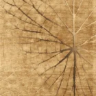 Sarelli Interiors Textiles Forest Memory Contemporary Earth Impression Style Custom Bespoke Elegant Italian Luxury Premium Handmade & Handtufted Area Rug Carpet, Made of Viscose & Lincoln Wool Material, With Cotton Backing, 2 Levels High & Low Processing Method, 8-14mm Thickness, Available in Bamboo Silk, Tencel, Viscose, Fine Wool, Flame Retardant & Stain Resistant Optional Finishes