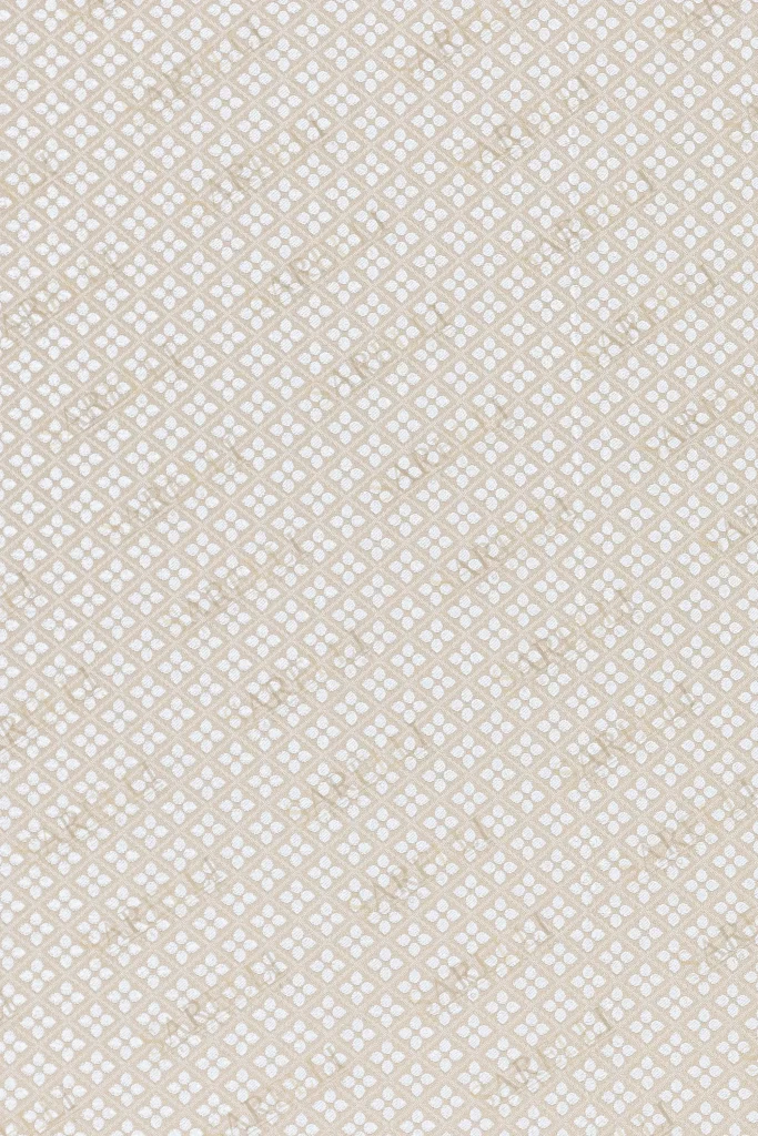 Coordinato Geometrico