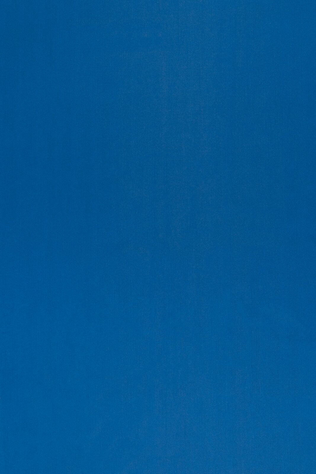 Canuts Collection Plain Color fabric image LB view 1