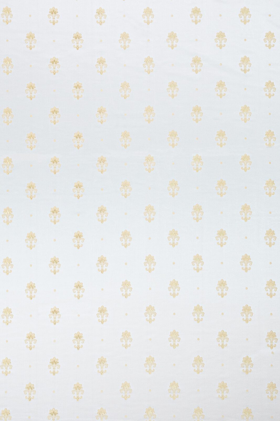 Florence Collection Small Coo fabric image AWG view 1