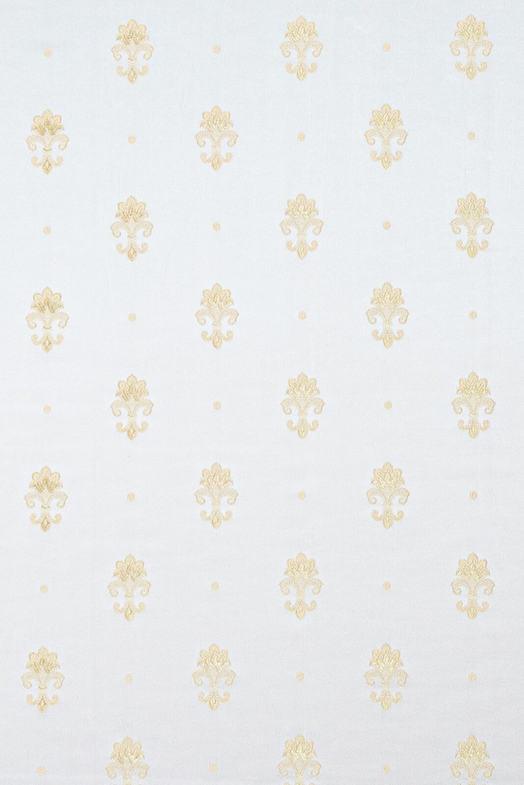 Florence Collection Small Coo fabric image AWG view 2