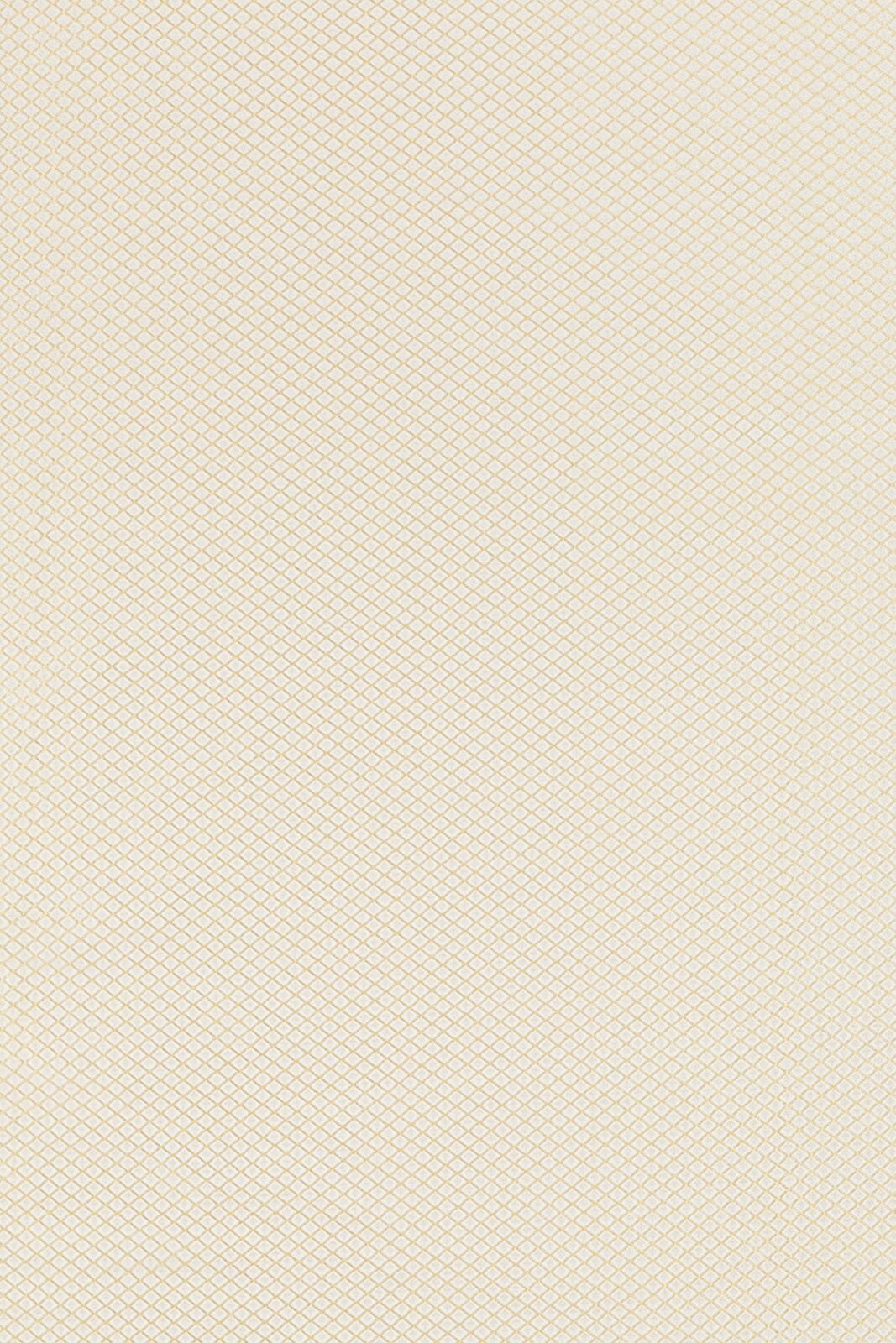 Imperial Collection Geometric Coordinate fabric image AWG view 2