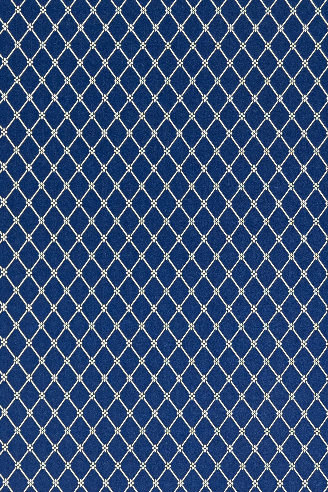 Medici Collection Geometric Coordinate fabric image NB view 2