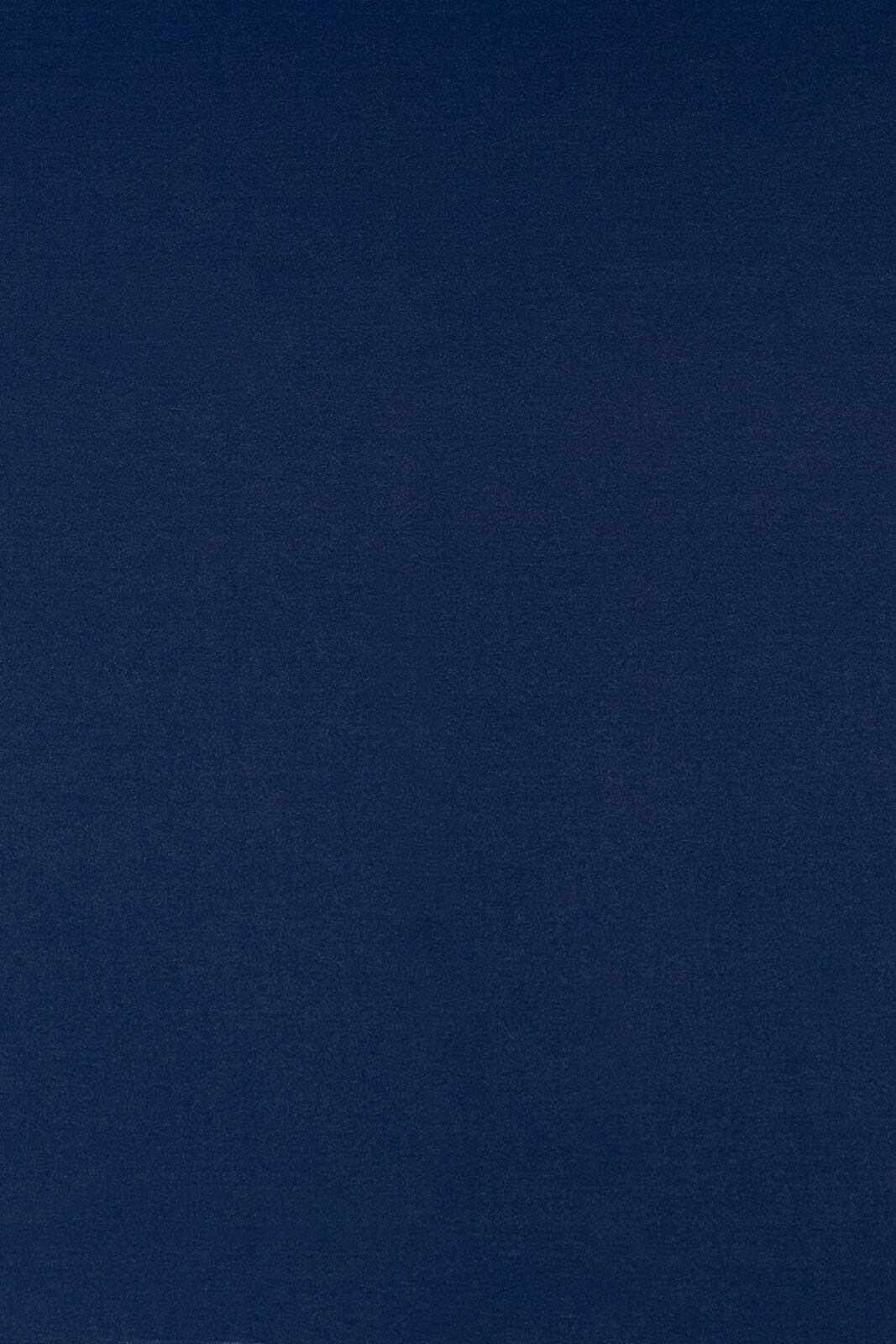 Medici Collection Plain Color fabric image NB view 1