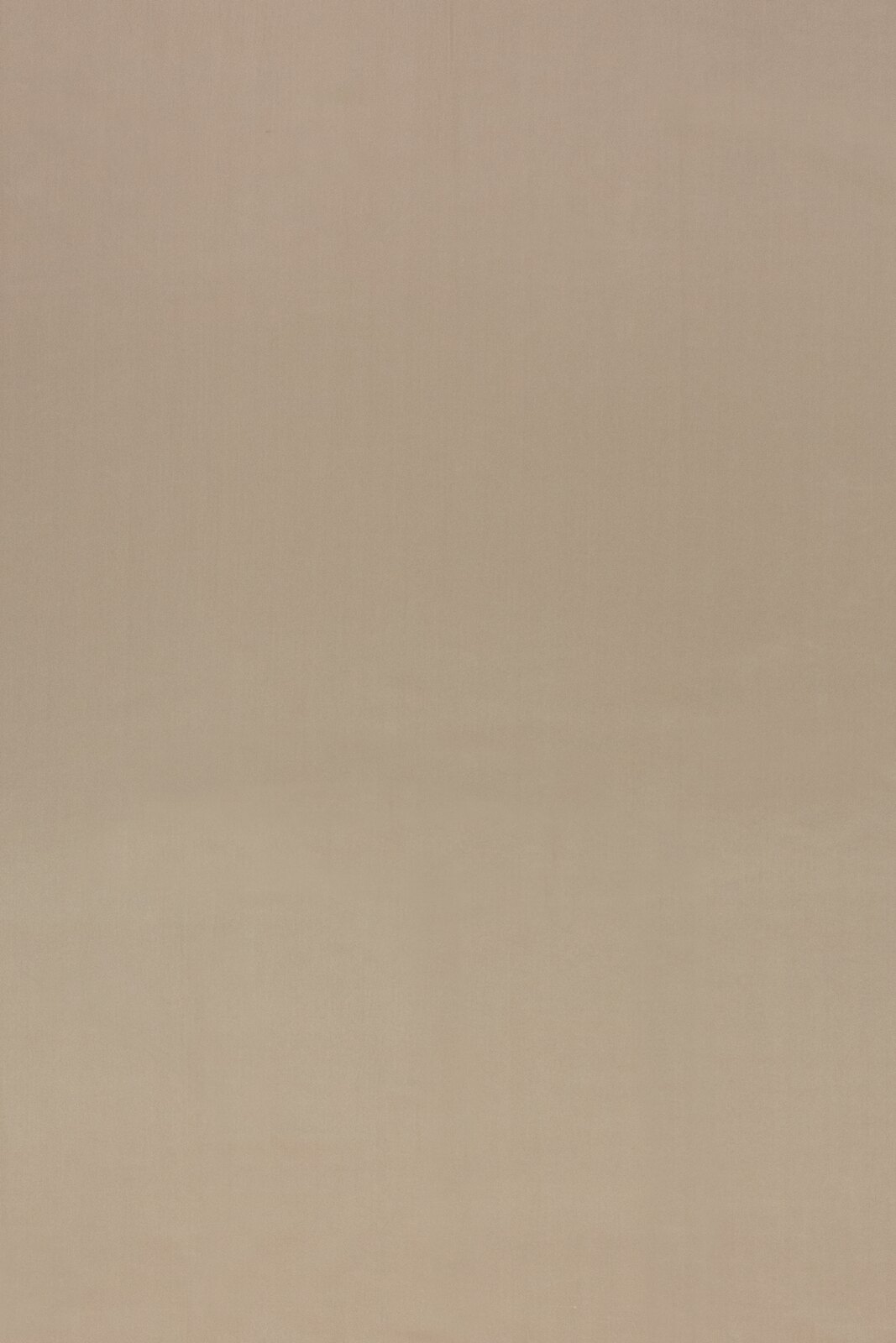 Royal Collection Plain Color fabric image DS view 1