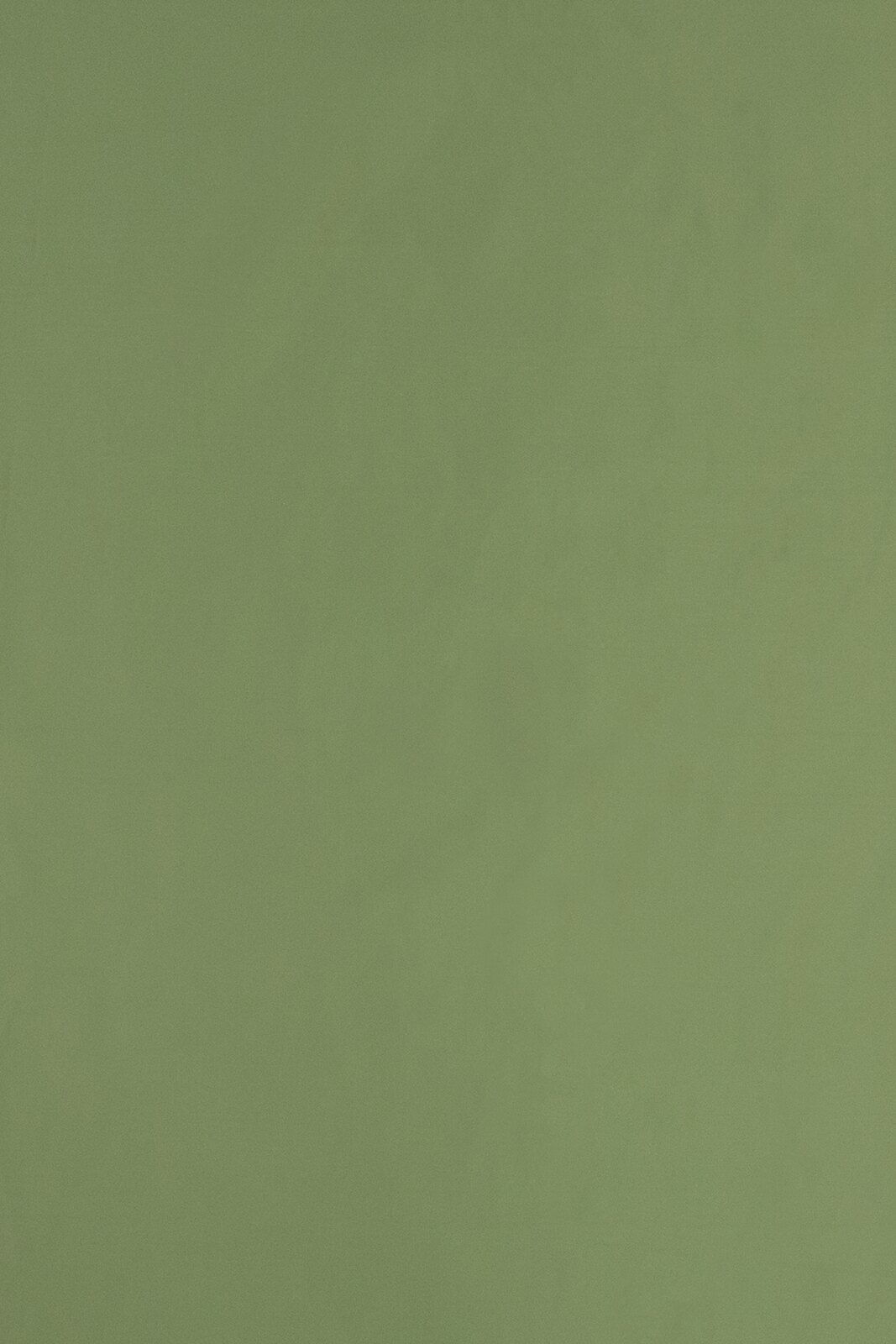 Royal Collection Plain Color fabric image EG view 1