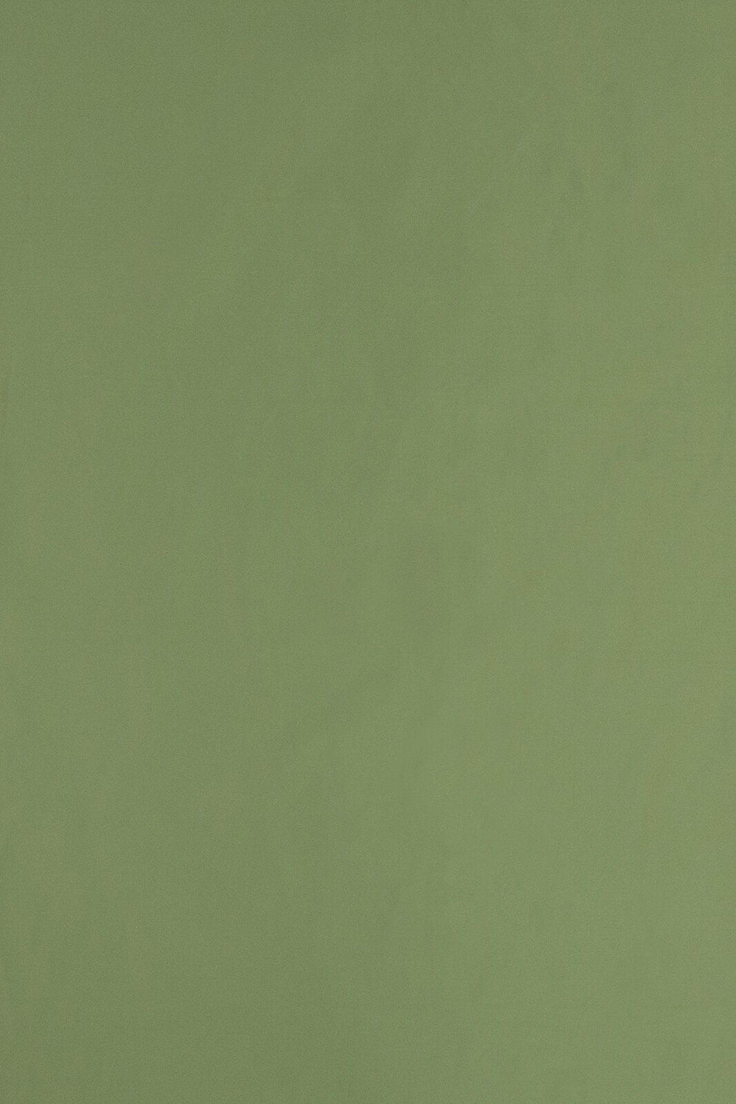 Serenissima Collection Plain Color fabric image EG view 1