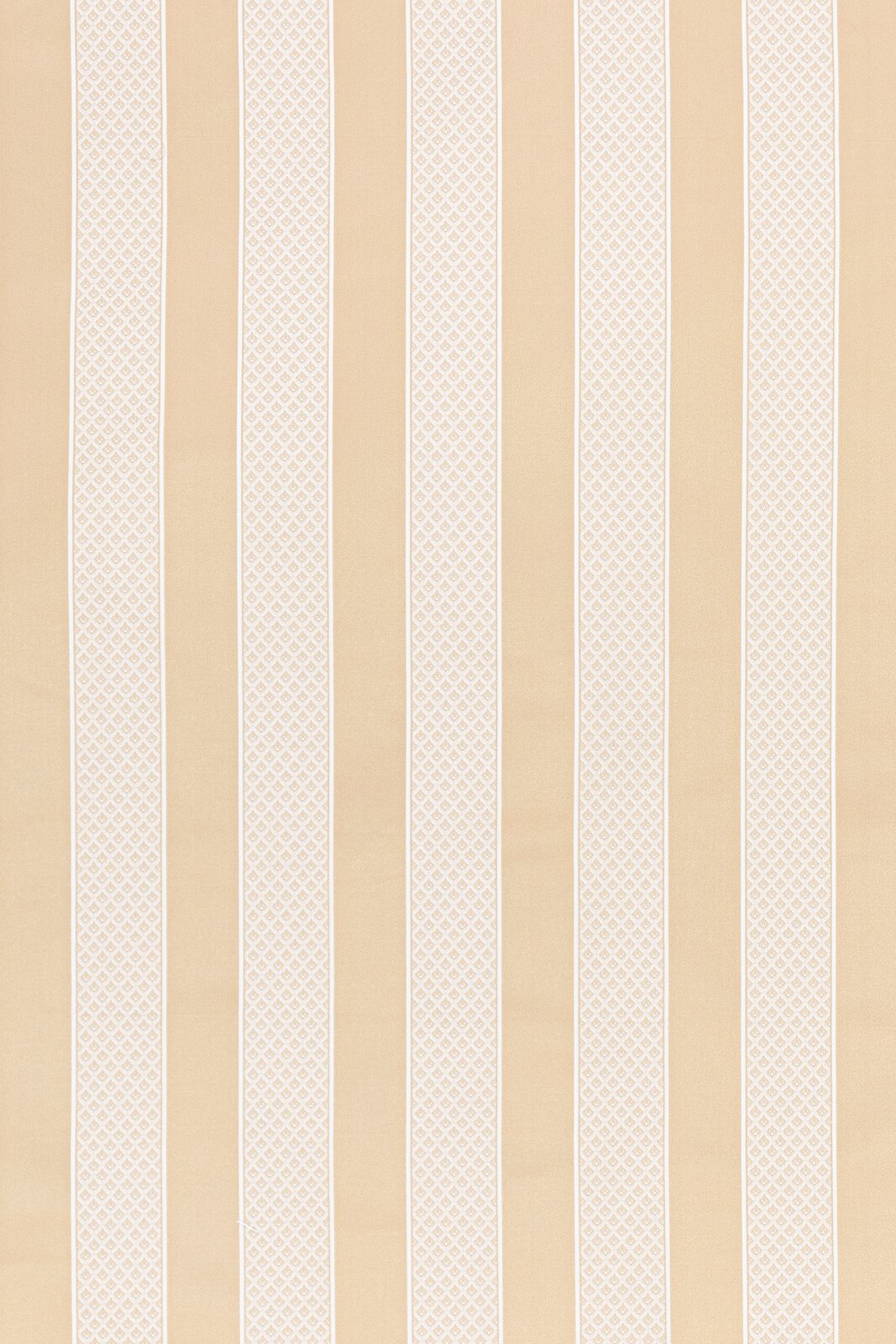 Vogue Collection Stripes Coordinate fabric image GO view 2