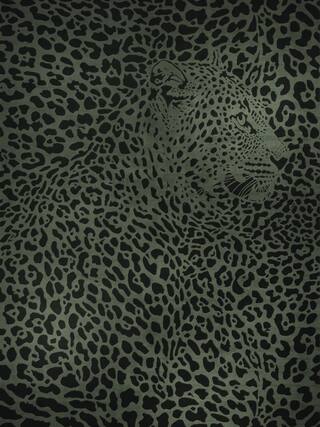 Earth Impression Contemporary Rug Collection rug 4012 · 40 high-resolution preview