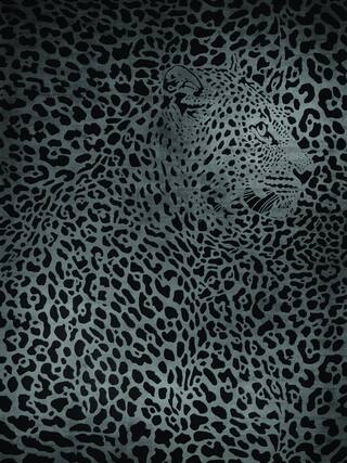 Earth Impression Contemporary Rug Collection rug 4012 · 50 high-resolution preview