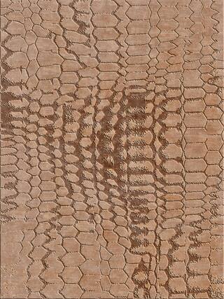 Earth Impression Contemporary Rug Collection rug 4016 · 30 high-resolution preview