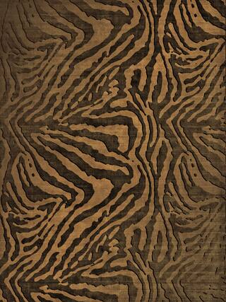 Earth Impression Contemporary Rug Collection rug 4020 · 30 high-resolution preview