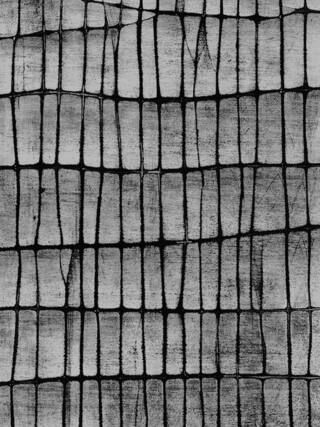 Earth Impression Contemporary Rug Collection rug 4024 · 10 high-resolution preview