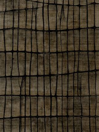 Earth Impression Contemporary Rug Collection rug 4024 · 20 high-resolution preview