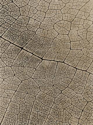 Earth Impression Contemporary Rug Collection rug 4026 · 10 high-resolution preview