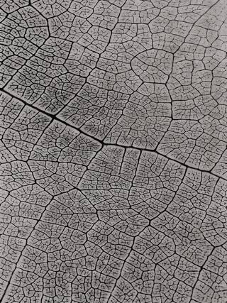 Earth Impression Contemporary Rug Collection rug 4026 · 20 high-resolution preview
