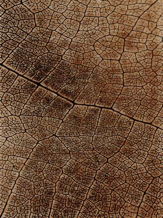 Earth Impression Contemporary Rug Collection rug 4026 · 30 high-resolution preview