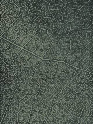 Earth Impression Contemporary Rug Collection rug 4026 · 40 high-resolution preview