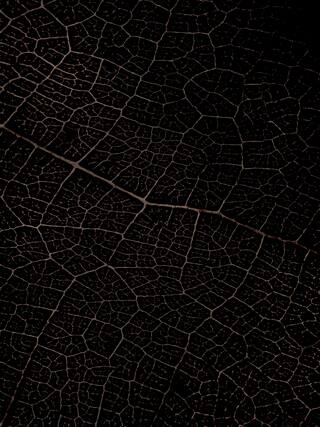 Earth Impression Contemporary Rug Collection rug 4026 · 50 high-resolution preview