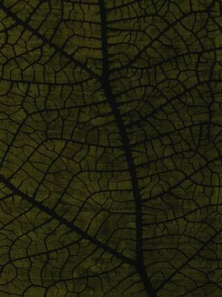 Earth Impression Contemporary Rug Collection rug 4027 · 40 high-resolution preview