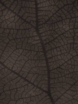 Earth Impression Contemporary Rug Collection rug 4027 · 50 high-resolution preview