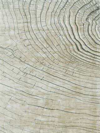 Earth Impression Contemporary Rug Collection rug 4038 · 10 high-resolution preview