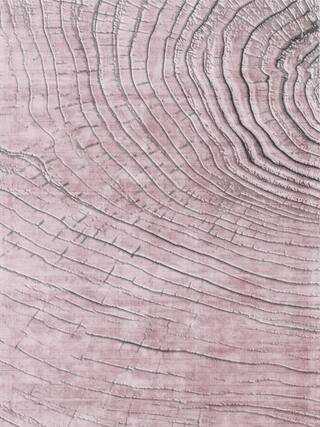 Earth Impression Contemporary Rug Collection rug 4038 · 20 high-resolution preview