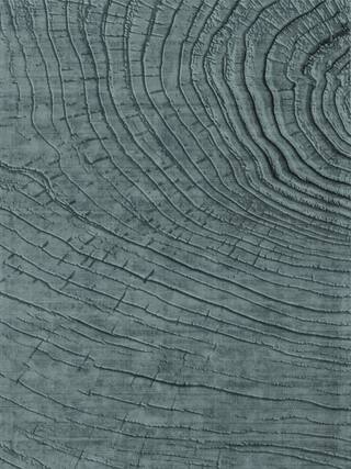 Earth Impression Contemporary Rug Collection rug 4038 · 30 high-resolution preview