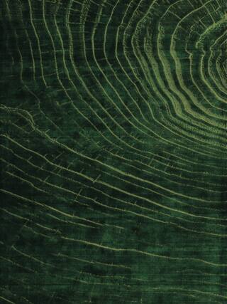 Earth Impression Contemporary Rug Collection rug 4038 · 40 high-resolution preview