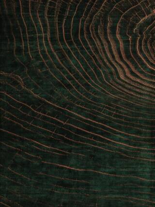 Earth Impression Contemporary Rug Collection rug 4038 · 50 high-resolution preview