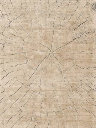 Earth Impression Contemporary Rug Collection rug 4043 · 10 high-resolution preview
