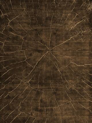 Earth Impression Contemporary Rug Collection rug 4043 · 30 high-resolution preview