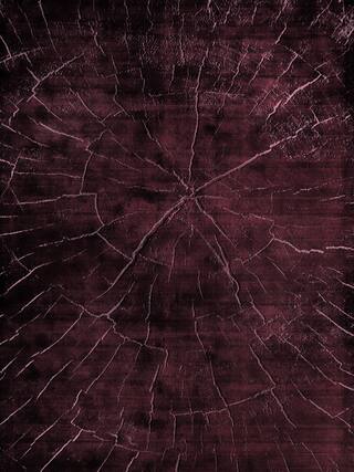 Earth Impression Contemporary Rug Collection rug 4043 · 40 high-resolution preview