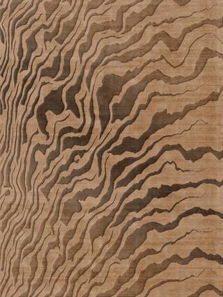 Earth Impression Contemporary Rug Collection rug 4044 · 10 high-resolution preview