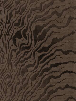 Earth Impression Contemporary Rug Collection rug 4044 · 50 high-resolution preview
