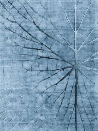 Earth Impression Contemporary Rug Collection rug 4046 · 10 high-resolution preview