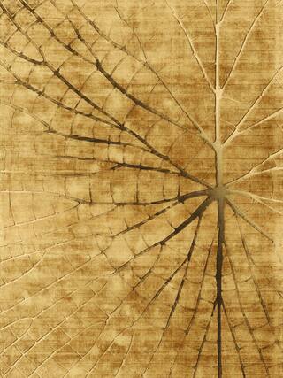 Earth Impression Contemporary Rug Collection rug 4046 · 30 high-resolution preview