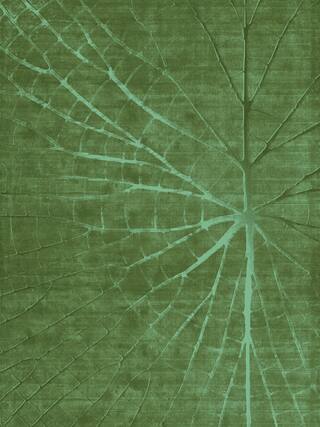 Earth Impression Contemporary Rug Collection rug 4046 · 50 high-resolution preview