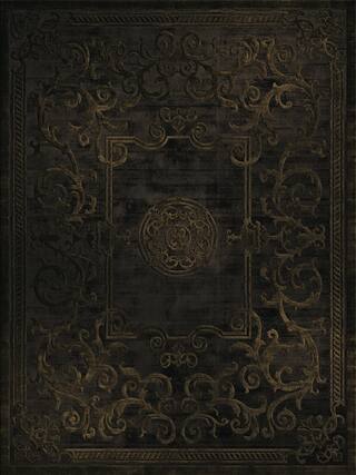 Legacy Contemporary Rug Collection rug 2036 · 50 high-resolution preview