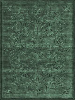 Legacy Contemporary Rug Collection rug 2038 · 40 high-resolution preview