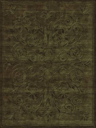 Legacy Contemporary Rug Collection rug 2038 · 50 high-resolution preview