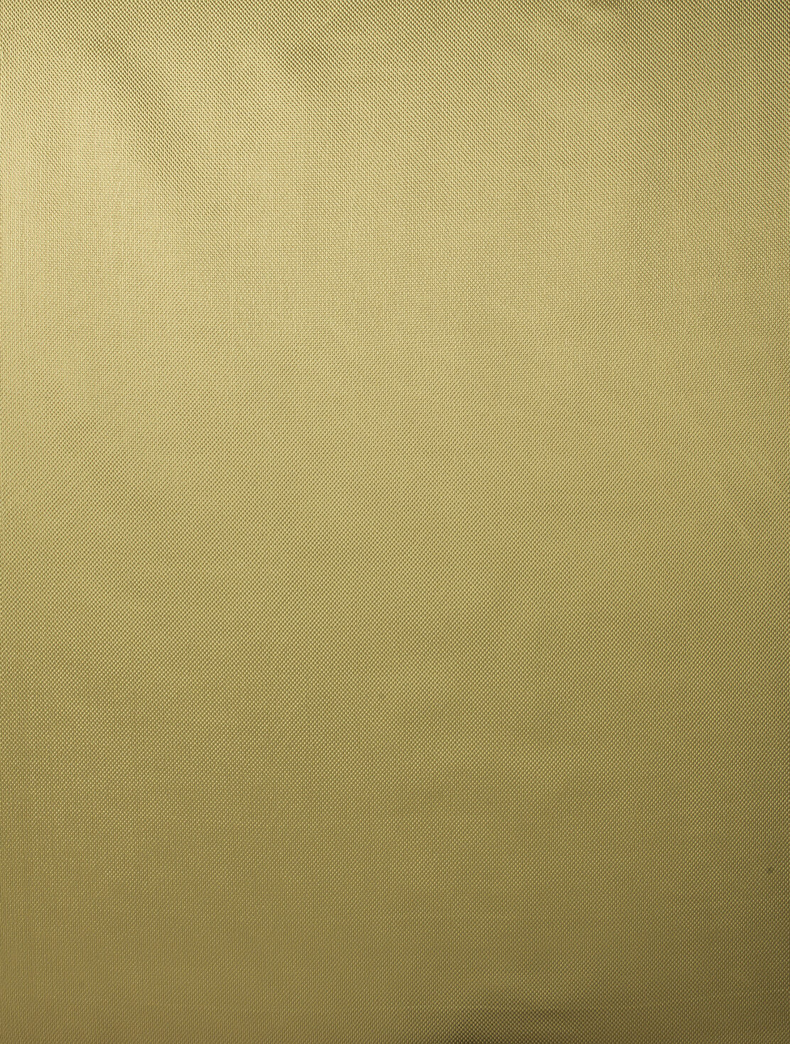 Embrace Collection Plain Color fabric image 04CEG view 2